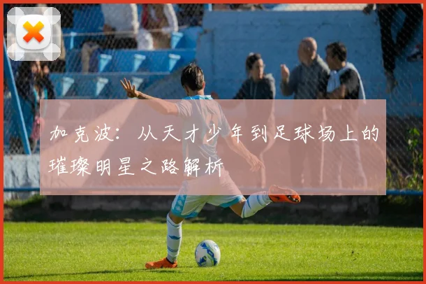 加克波：从天才少年到足球场上的璀璨明星之路解析